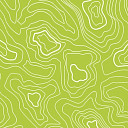 Линолеум Forbo Modul'up Compact Graphic 928UP43C lime topography  | FLOORDEALER